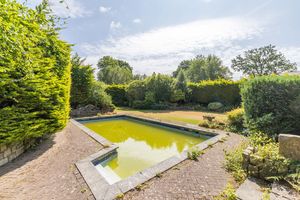 Garden- click for photo gallery